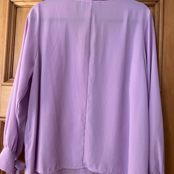 Eloquii Lilac Purple Sheer V-neck Blouse size 14 - Picture 5 of 8